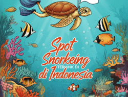 Spot Snorkeling Terbaik di Indonesia