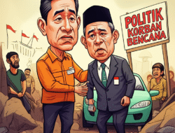 Politik korban bencana