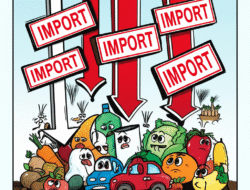 Dampak Kebijakan Impor terhadap Ketahanan Pangan Nasional