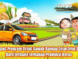 Dampak Program Cetak Sawah Baru terhadap Produksi Beras