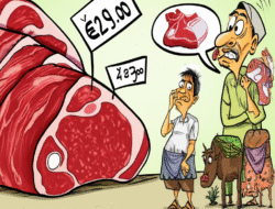 Evaluasi Kebijakan Impor Daging Sapi terhadap Petani Lokal